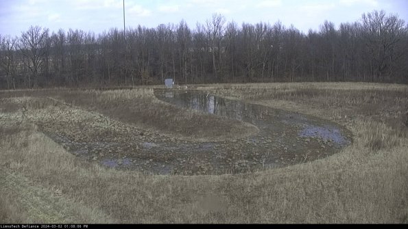 Cell 4_24-03-02_13-08-07-30