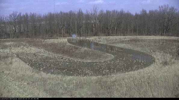 Cell 4_24-03-02_13-41-37-28