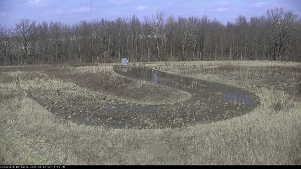 Cell 4_24-03-02_14-15-06-30