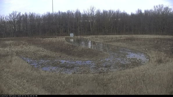 Cell 4_24-03-02_14-48-35-29