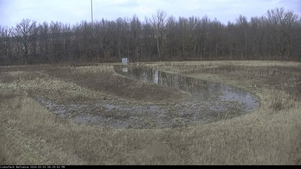 Cell 4_24-03-02_16-29-03-31