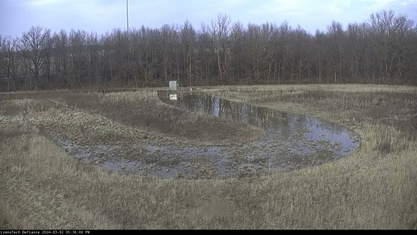 Cell 4_24-03-02_17-36-01-31