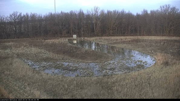 Cell 4_24-03-02_18-09-31-29