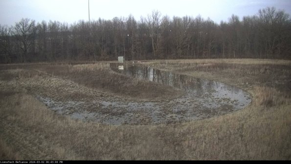 Cell 4_24-03-02_18-43-01-31