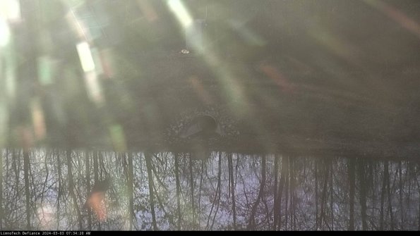 Basin Inflow_24-03-03_07-34-21-27