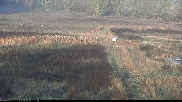 Cell 1 to 2_24-03-03_07-32-15-31