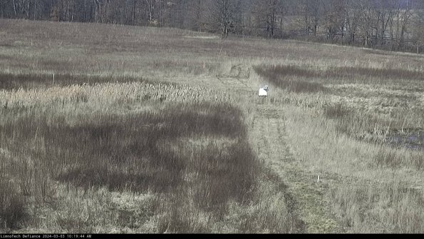 Cell 1 to 2_24-03-03_10-19-45-30