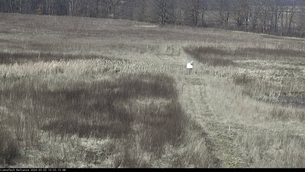 Cell 1 to 2_24-03-03_10-53-14-28