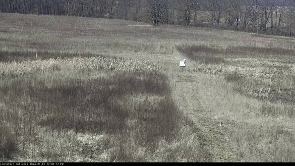 Cell 1 to 2_24-03-03_12-00-13-32