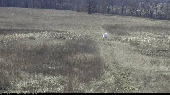 Cell 1 to 2_24-03-03_15-21-11-28