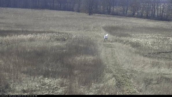 Cell 1 to 2_24-03-03_15-54-41-30