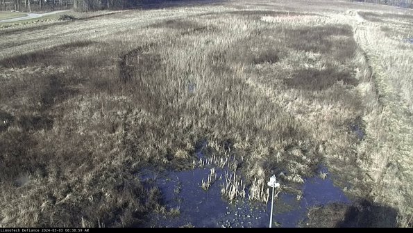 Cell 1_24-03-03_08-39-00-33