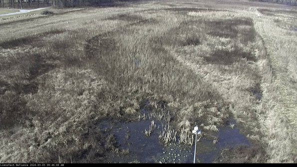 Cell 1_24-03-03_09-46-01-30