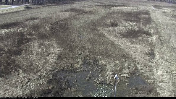 Cell 1_24-03-03_12-33-29-29