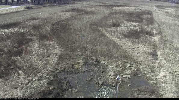 Cell 1_24-03-03_13-06-59-31