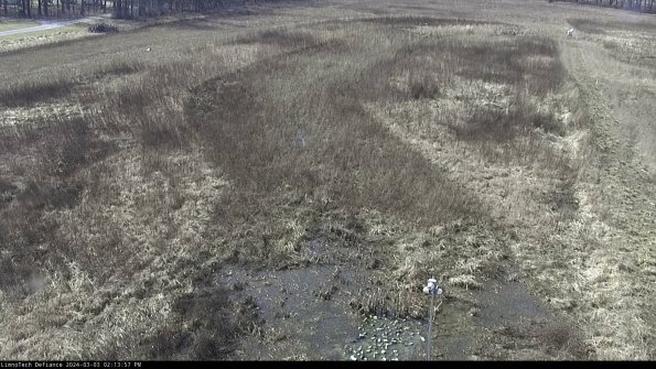 Cell 1_24-03-03_14-13-58-32