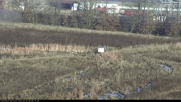 Cell 2 to 3_24-03-03_08-06-11-42