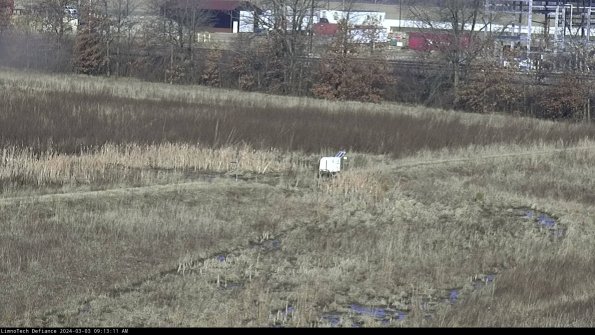 Cell 2 to 3_24-03-03_09-13-11-45