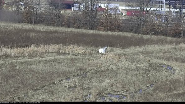 Cell 2 to 3_24-03-03_10-20-11-39