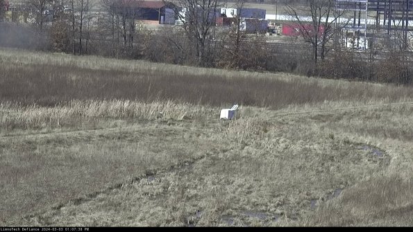 Cell 2 to 3_24-03-03_13-07-39-42