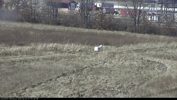 Cell 2 to 3_24-03-03_13-41-08-44