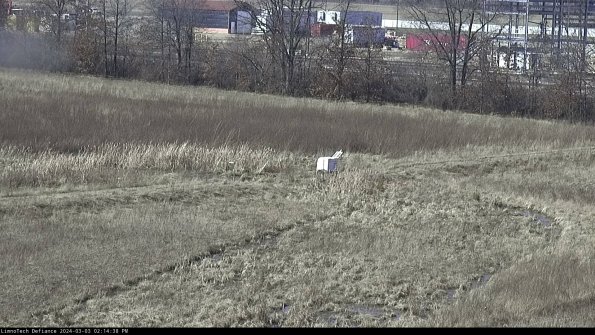 Cell 2 to 3_24-03-03_14-14-38-43