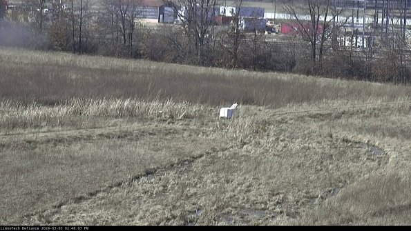 Cell 2 to 3_24-03-03_14-48-07-51