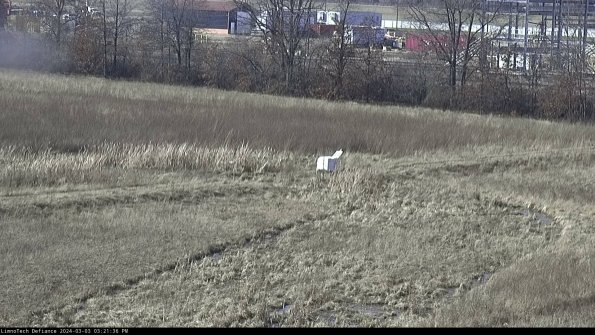 Cell 2 to 3_24-03-03_15-21-37-34