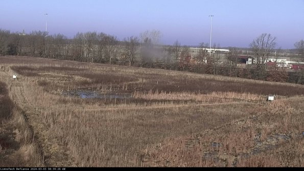 Cell 2_24-03-03_08-39-27-35