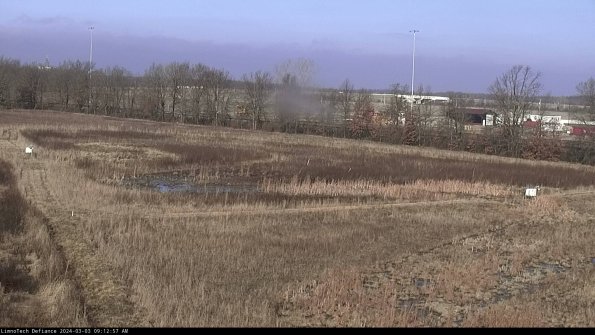 Cell 2_24-03-03_09-12-58-37