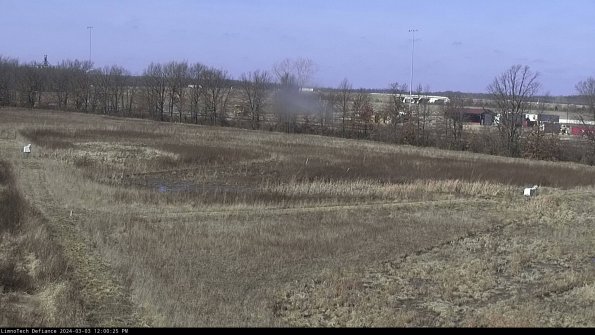 Cell 2_24-03-03_12-00-26-37