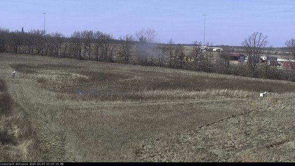 Cell 2_24-03-03_13-07-26-37