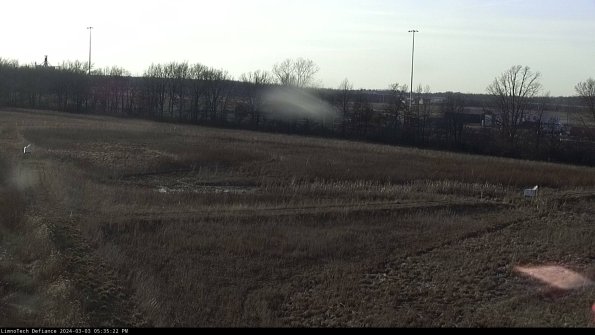 Cell 2_24-03-03_17-35-23-34