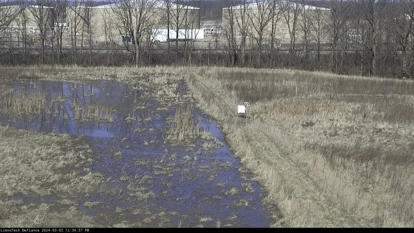 Cell 3 to 4_24-03-03_12-34-38-30