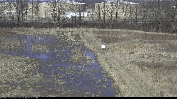 Cell 3 to 4_24-03-03_13-08-08-32