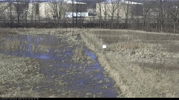 Cell 3 to 4_24-03-03_14-48-36-31