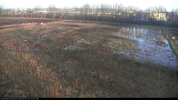 Cell 3_24-03-03_07-32-56-32