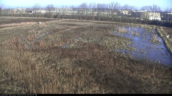 Cell 3_24-03-03_08-06-26-33