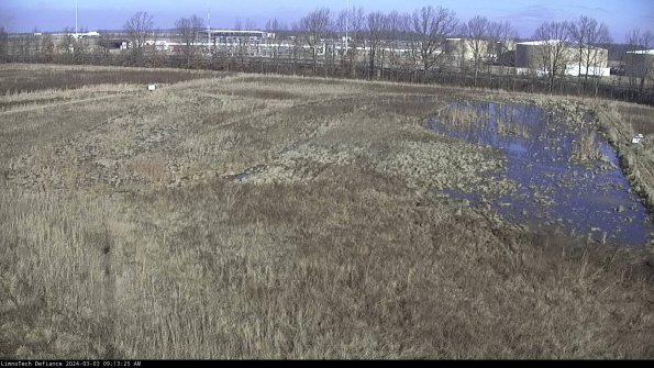 Cell 3_24-03-03_09-13-26-30