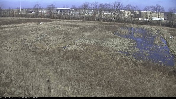 Cell 3_24-03-03_09-46-56-32