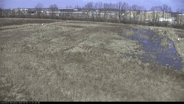 Cell 3_24-03-03_11-27-24-48