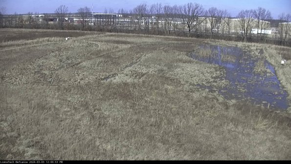 Cell 3_24-03-03_12-00-54-30