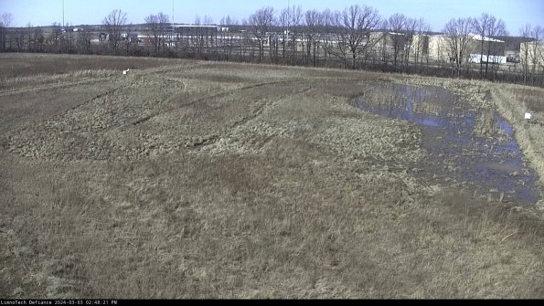 Cell 3_24-03-03_14-48-22-30