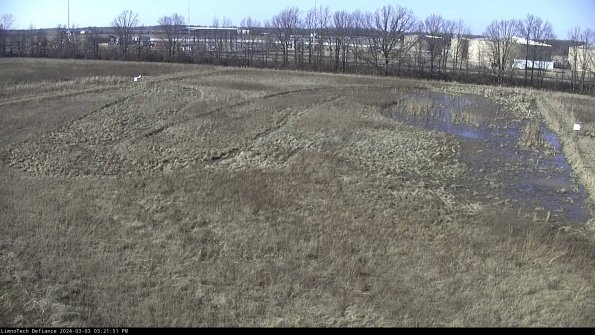 Cell 3_24-03-03_15-21-52-28