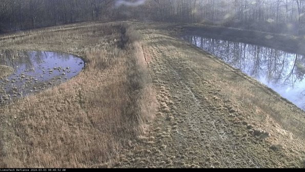 Cell 4 to Basin_24-03-03_08-40-53-31