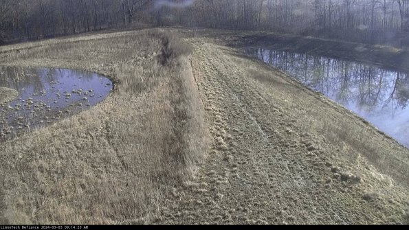 Cell 4 to Basin_24-03-03_09-14-24-33