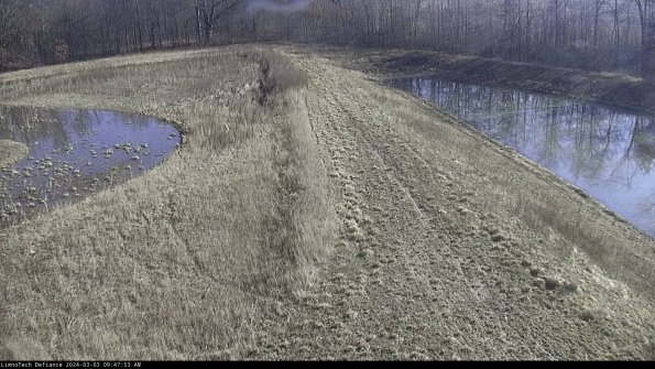 Cell 4 to Basin_24-03-03_09-47-54-31