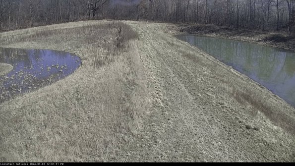 Cell 4 to Basin_24-03-03_12-01-52-29