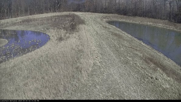 Cell 4 to Basin_24-03-03_14-15-51-30