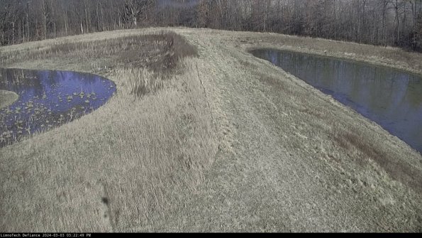 Cell 4 to Basin_24-03-03_15-22-50-31